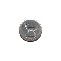 Preview 25 fils, ١٤٠٩ (1989) obverse
