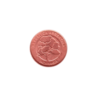 Preview 1 Peso, 2018 obverse