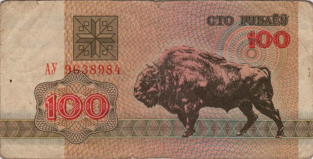 100 Rubles, 1992 Reverse