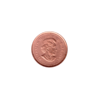 Preview 1 cent, 2004 obverse
