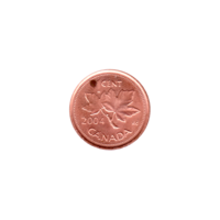 Preview 1 cent, 2004 reverse