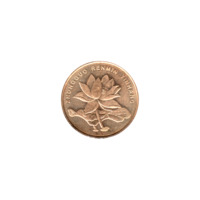 Preview 5 jiǎo, 2015 obverse