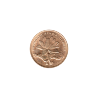 Preview 5 jiǎo, 2007 obverse