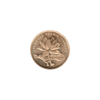Preview 5 jiǎo, 2016 obverse