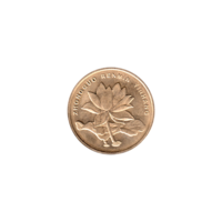 Preview 5 jiǎo, 2010 obverse