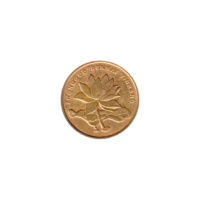 Preview 5 jiǎo, 2013 obverse