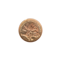 Preview 5 jiǎo, 2006 obverse