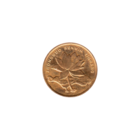 Preview 5 jiǎo, 2008 obverse