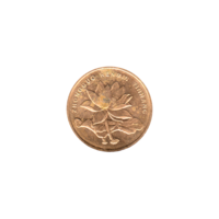 Preview 5 jiǎo, 2017 obverse