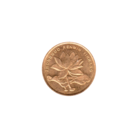 Preview 5 jiǎo, 2014 obverse