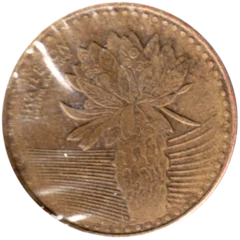 Preview 100 Pesos, 2014 obverse