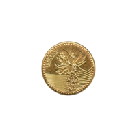 Preview 100 Pesos, 2023 obverse