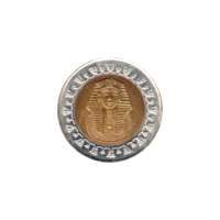 Preview 1 Pound, ١٤٢٩ (2008) obverse
