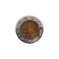 Preview 1 Pound, ١٤٢٩ (2008) reverse