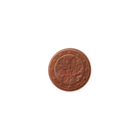 Preview 1 cent, 2004 obverse