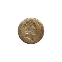 Preview 1 Pound, 1989 obverse