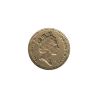 Preview 1 Pound, 1993 obverse