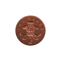 Preview 2 pence, 1999 reverse