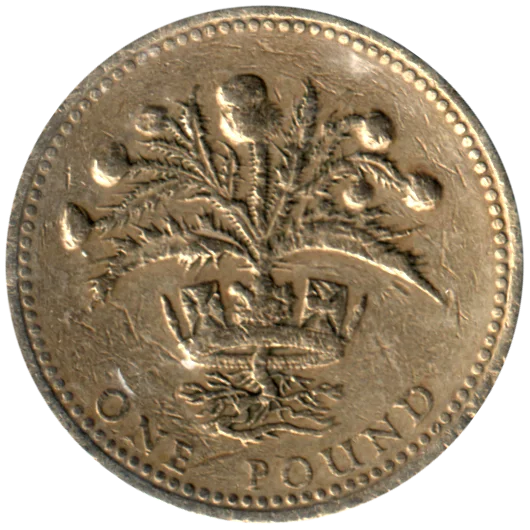 1 Pound, 1989 Reverse