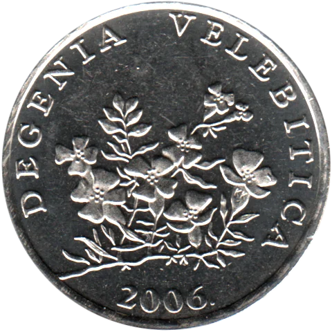 50 lipe, 2006 Obverse