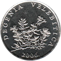 Preview 50 lipe, 2006 obverse