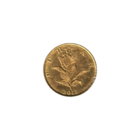 Preview 10 lipe, 2015 obverse