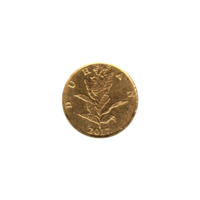 Preview 10 lipe, 2017 obverse