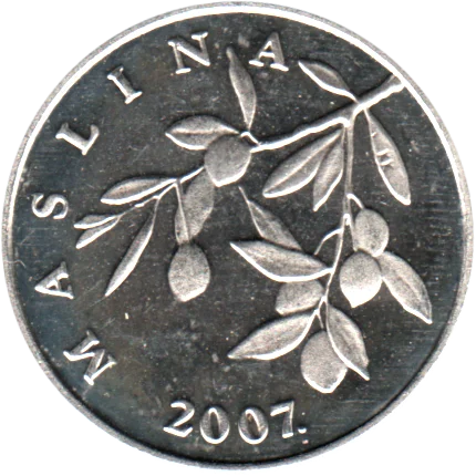 20 lipe, 2007 Obverse