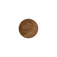 Preview 5 lipe, 2011 obverse