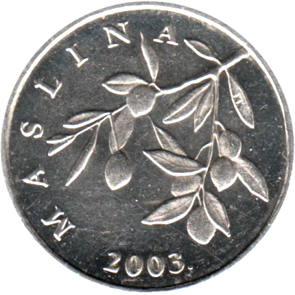 20 lipe, 2003 Obverse