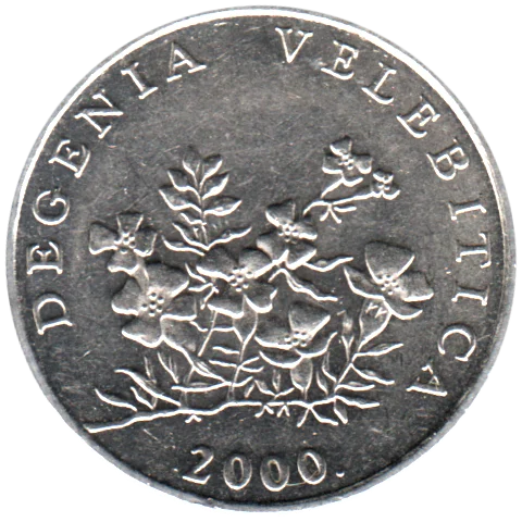 50 lipe, 2000 Obverse