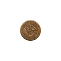 Preview 5 lipe, 1998 obverse