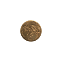 Preview 5 lipe, 2007 obverse