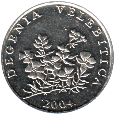 50 lipe, 2004 Obverse
