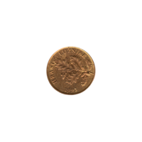 Preview 5 lipe, 1993 obverse