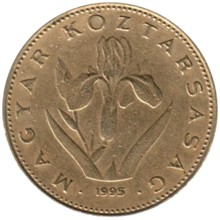 Preview 20 Forint, 1995 obverse