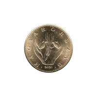 Preview 20 Forint, 2021 obverse