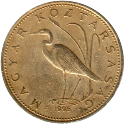 Preview 5 Forint, 1995 obverse