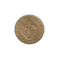 Preview 20 Forint, 2007 obverse