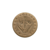 Preview 20 Forint, 1993 obverse
