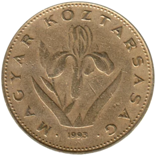 Preview 20 Forint, 1993 obverse