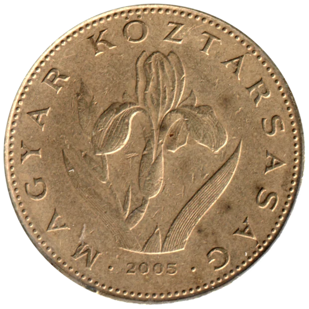 20 Forint, 2005 Obverse