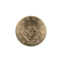 Preview 20 Forint, 2022 obverse