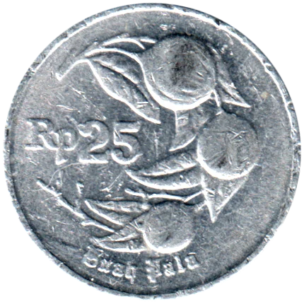 25 Rupiah, 1994 Reverse
