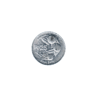 Preview 25 Rupiah, 1994 reverse