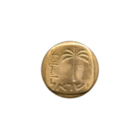 Preview 10 agorot, תשל״ז (1977) obverse
