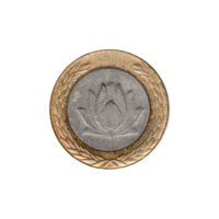 Preview 250 Rials, ١٣٨٢ (2003) obverse