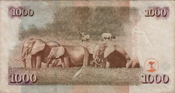 Preview 1000 Shillings, 2005 obverse