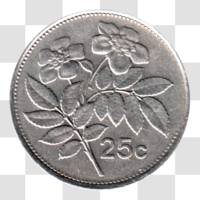 Preview 25 cents, 1993 reverse