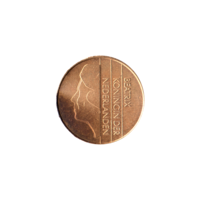 Preview 5 Guilders, 1989 obverse